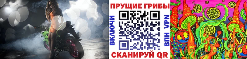 наркотики  Новый Уренгой  Галлюциногенные грибы Cubensis 